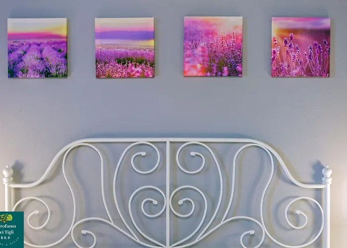 Il Profumo Dei Tigli R&b, Elegante Casa Nuova A