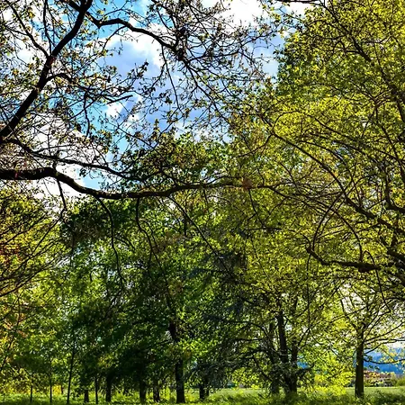 Il Profumo Dei Tigli R&b, Elegante Casa Nuova A