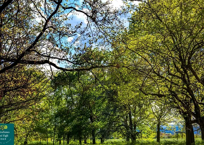 Il Profumo Dei Tigli R&b, Elegante Casa Nuova A